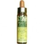 Cerato Plantis Nr. 05 10ml