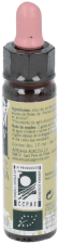 Kirschpflaume Plantis Nr. 06 10 ml