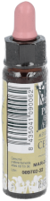 Kirschpflaume Plantis Nr. 06 10 ml