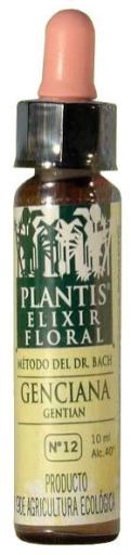 Enzian Plantis Nr. 12 10 ml