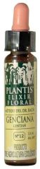 Enzian Plantis Nr. 12 10 ml
