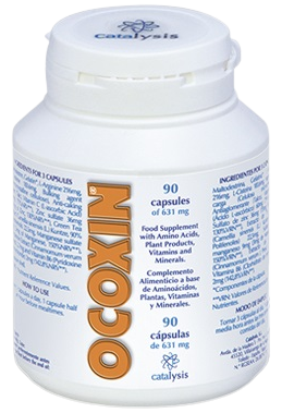 Catalysis Ocoxin 90 Kapseln
