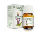 Desmodium 30 Milliliter Einzelpflanze