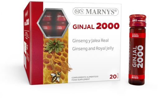 Marnys Ginjal 20 Fl&auml;schchen x 2000 mg