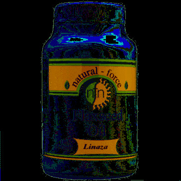 Lein&ouml;l (Leinsamen) 1000 mg 100 Perlen