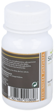 Echinacea 100 Tabletten Echinacea 100 Tabletten