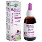 Alkoholfreier reiner Echinaid-Extrakt 50 ml