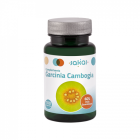 Garcinia Cambogia 100 Tabletten