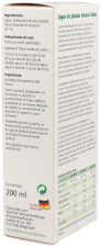 Glutenfreier Schachtelhalmsaft 200 ml