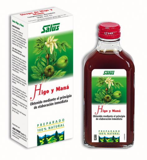 Salus Feige und Manna