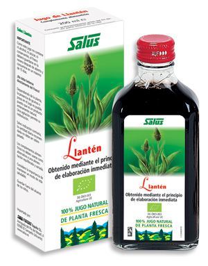 Salus Kochbananensaft 200 Milliliter Schoenenberger