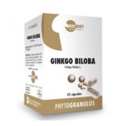 Ergonat Ginkgo Biloba 45 Kapseln