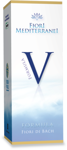 Fm Formel V Vitalit&auml;t 10 ml