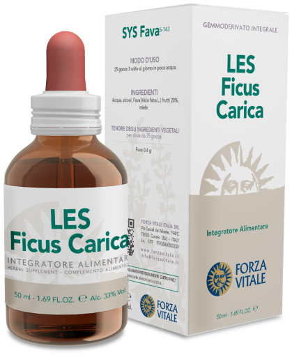 Ficus Carica Gemeine Feige 50 ml
