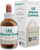 Juniperus Communis Wacholder 50 ml