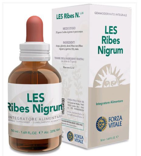 Ribes Nigrum Schwarze Johannisbeere 50 ml