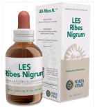 Ribes Nigrum Schwarze Johannisbeere 50 ml