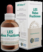 Rubus Fructicosus Brombeere 50 ml