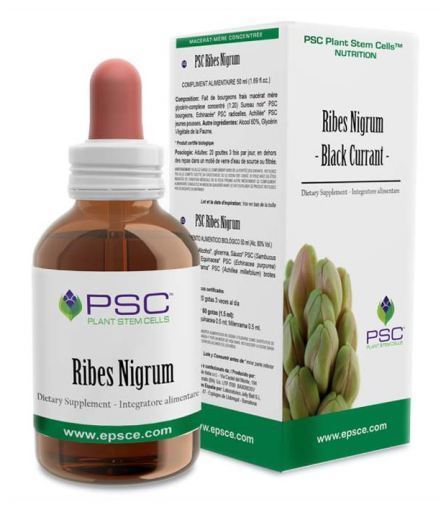 Psc Schwarze Johannisbeere 15 ml