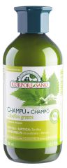 Brennnessel-Shampoo für fettiges Haar - 300 Milliliter Brennnessel-Shampoo für fettiges Haar - 300 Milliliter
