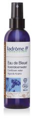 Kornblumen-Bleuet Bio Wasser Kornblumen-Bleuet Bio Wasser