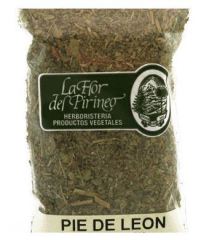 L&ouml;wenfu&szlig; 40 Gr