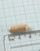 Pycnogenol 40 mg Seekiefernrindenextrakt 60 Kapseln