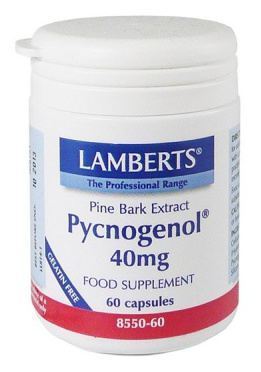 Pycnogenol 40 mg Seekiefernrindenextrakt 60 Kapseln