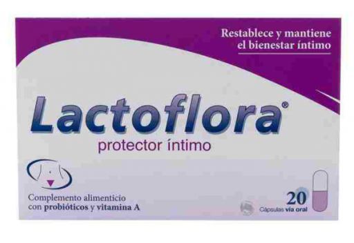 Stada Lactoflora Intimschutz 20 Kapseln