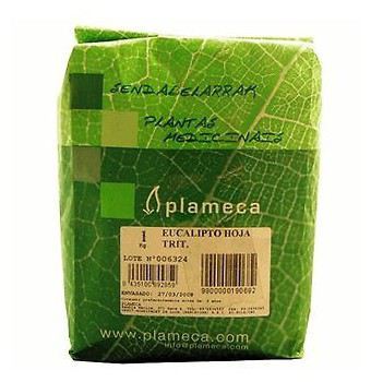 Plameca Thymianb&uuml;ndel ganz