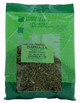 Plameca Arenaria Zerkleinerte Pflanze