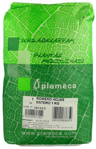 Plameca Rosmarin ganze Bl&auml;tter