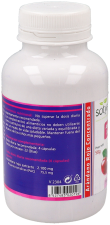 Cranberry 90 Kapseln
