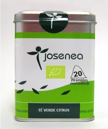 Gr&uuml;ner Tee Citrus Bio. B-10 Pyramiden