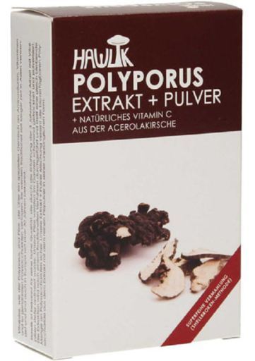 Hawlik Doldenpolypore (Polyporus umbellatus) 60 Kapseln