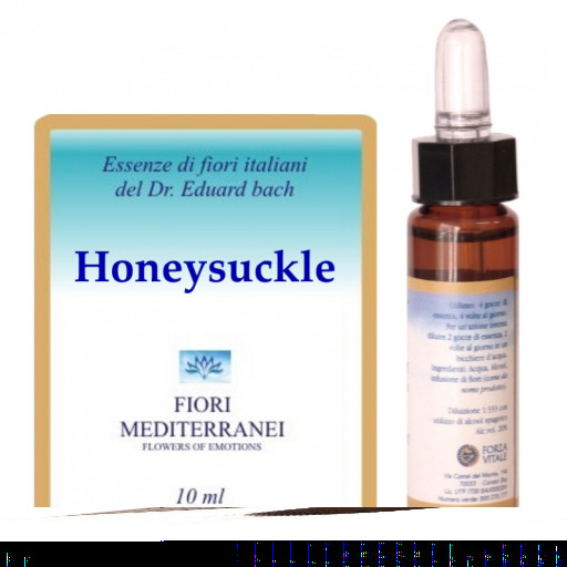 Fm 16 Gei&szlig;blatt 10 ml