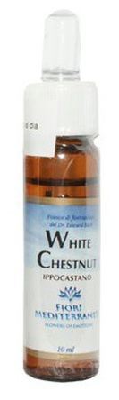 Fm 35 Wei&szlig;e Kastanie 10 ml