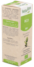 Gemmotherapie Feigenbaum 15ml Bio