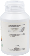 Guarana 500 mg 120 Kapseln Guarana 500 mg 120 Kapseln