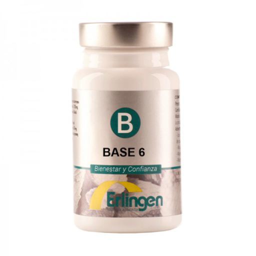 Basis 6 60 Tabletten