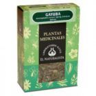 Bärentraubenkraut 80g Bärentraubenkraut 80g