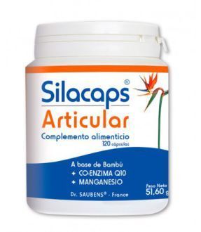 Labo Sante Silice Silacaps Joint 120 Kapseln