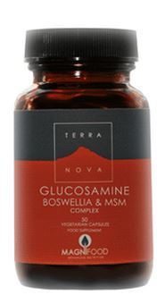 Terranova Boswellia Glucosamin und MSM-Komplex Pflanzliche Kapseln
