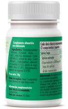 Salbei 500 mg 100 Tabletten