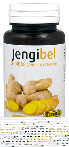 Herdibel Lebkuchen 100 Kapseln