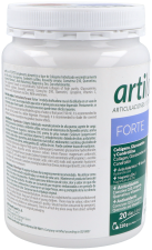 Artilane Forte Polvo 220 gr