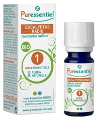 &Auml;therisches Eukalyptus-Radiata-&Ouml;l 10 ml