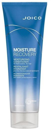 Joico Feuchtigkeitsr&uuml;ckgewinnungs-Conditioner 250 ml