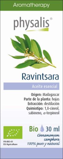 Physalis Ravintsara Bio-Essenz 30 ml