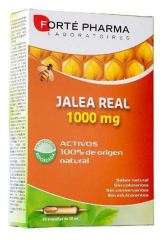 Gel&eacute;e Royale 1000 gr 20 Ampullen x 10 ml